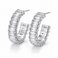 The Sierra Earrings